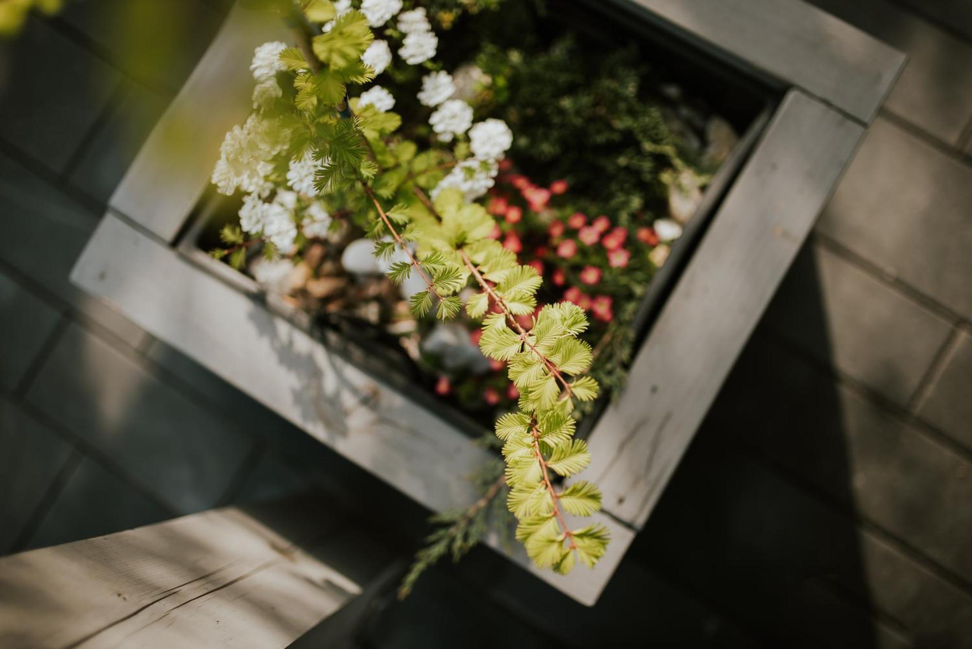Apartamenty Las Zator Exteriör bild